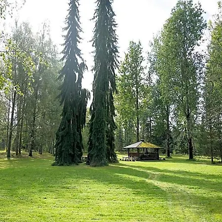 Koivu Ja Kuusi Eraekeskus